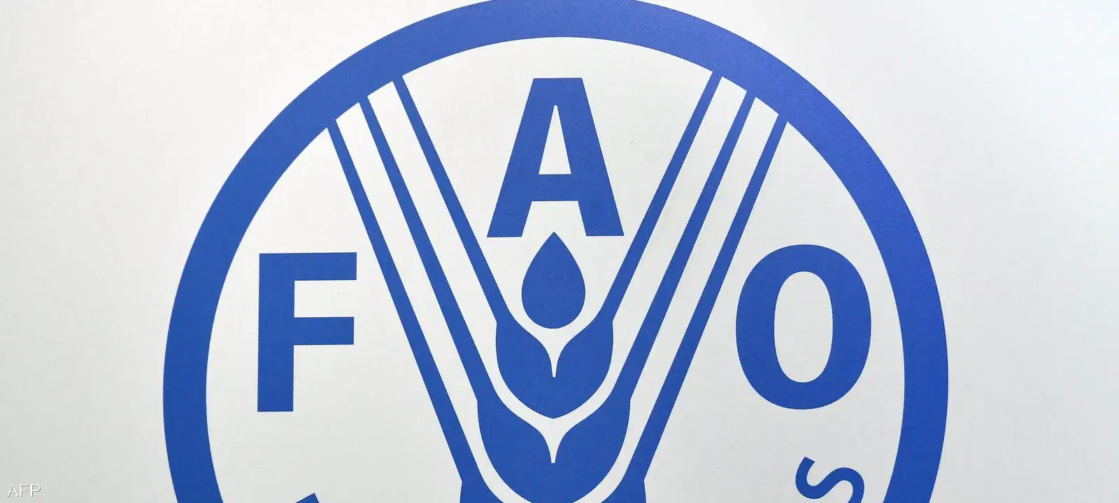 الصورة الرئيسية للمقال