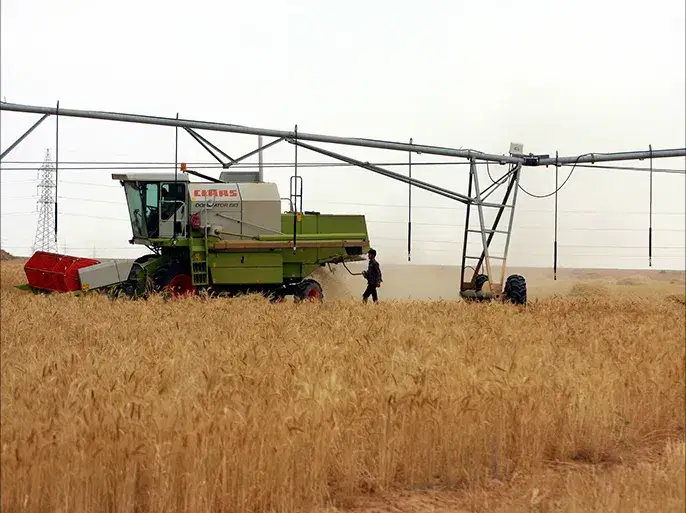 الصورة الرئيسية للمقال