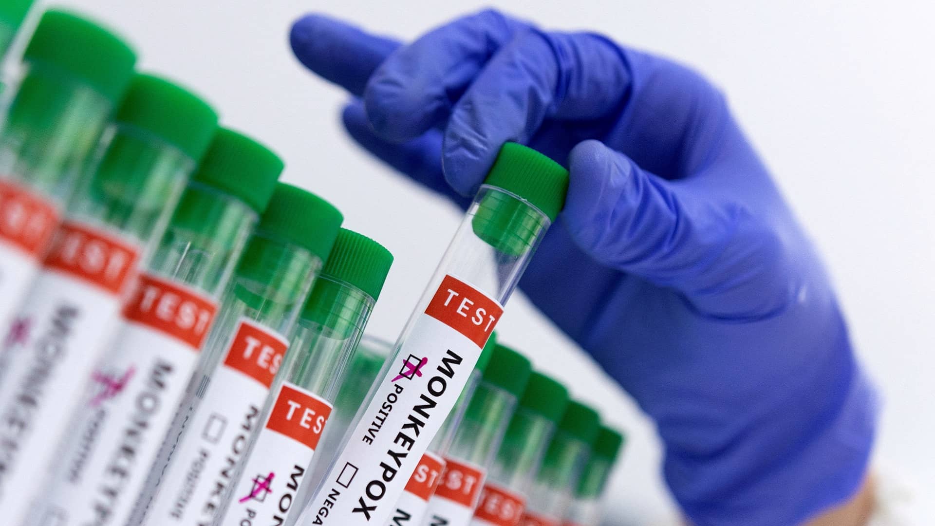 الصورة الرئيسية للمقال