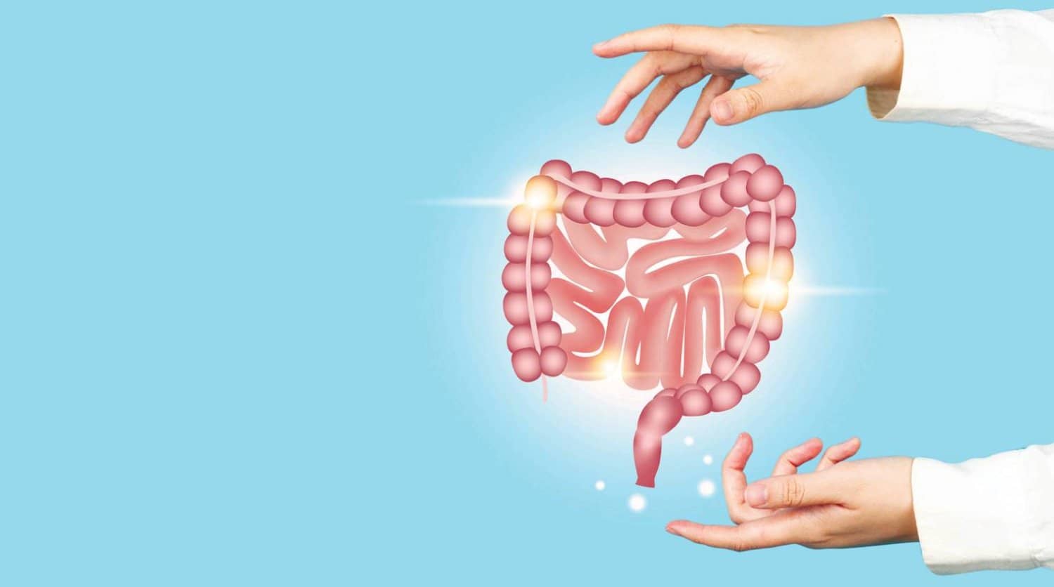 الصورة الرئيسية للمقال