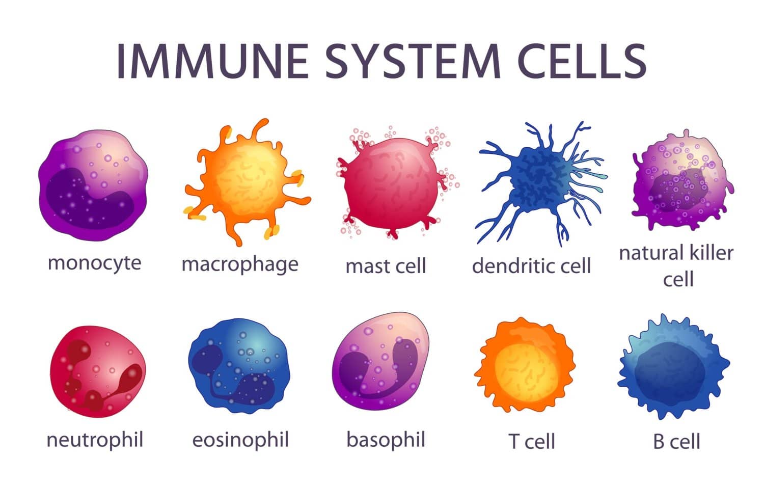 الصورة الرئيسية للمقال