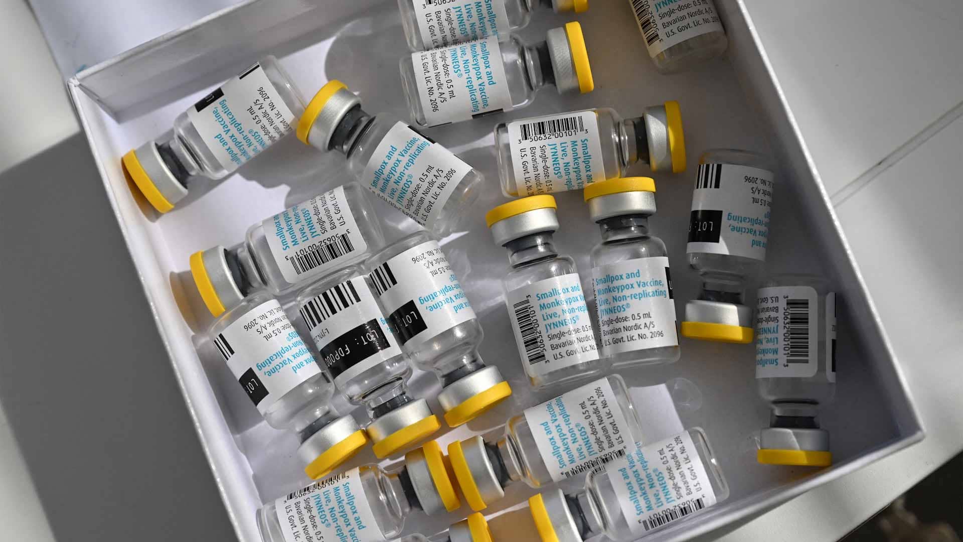 الصورة الرئيسية للمقال