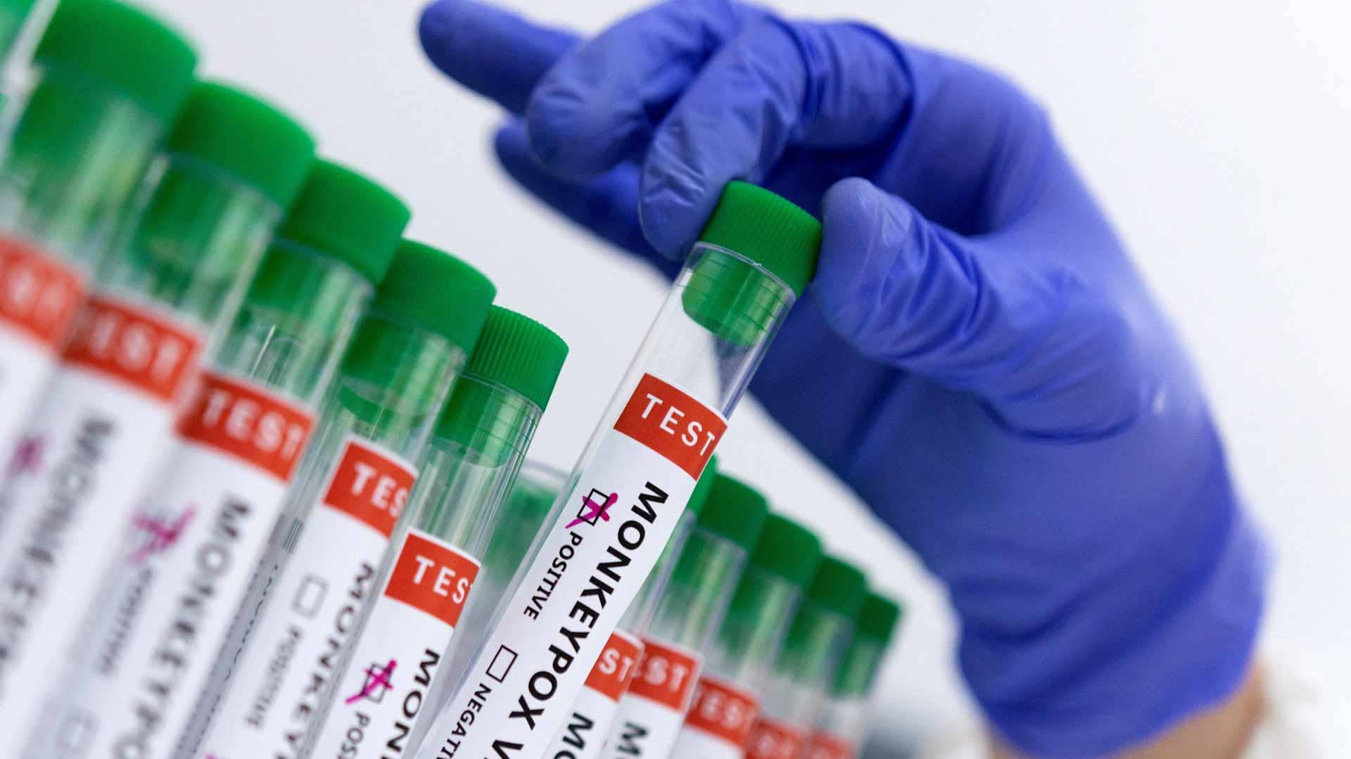 الصورة الرئيسية للمقال