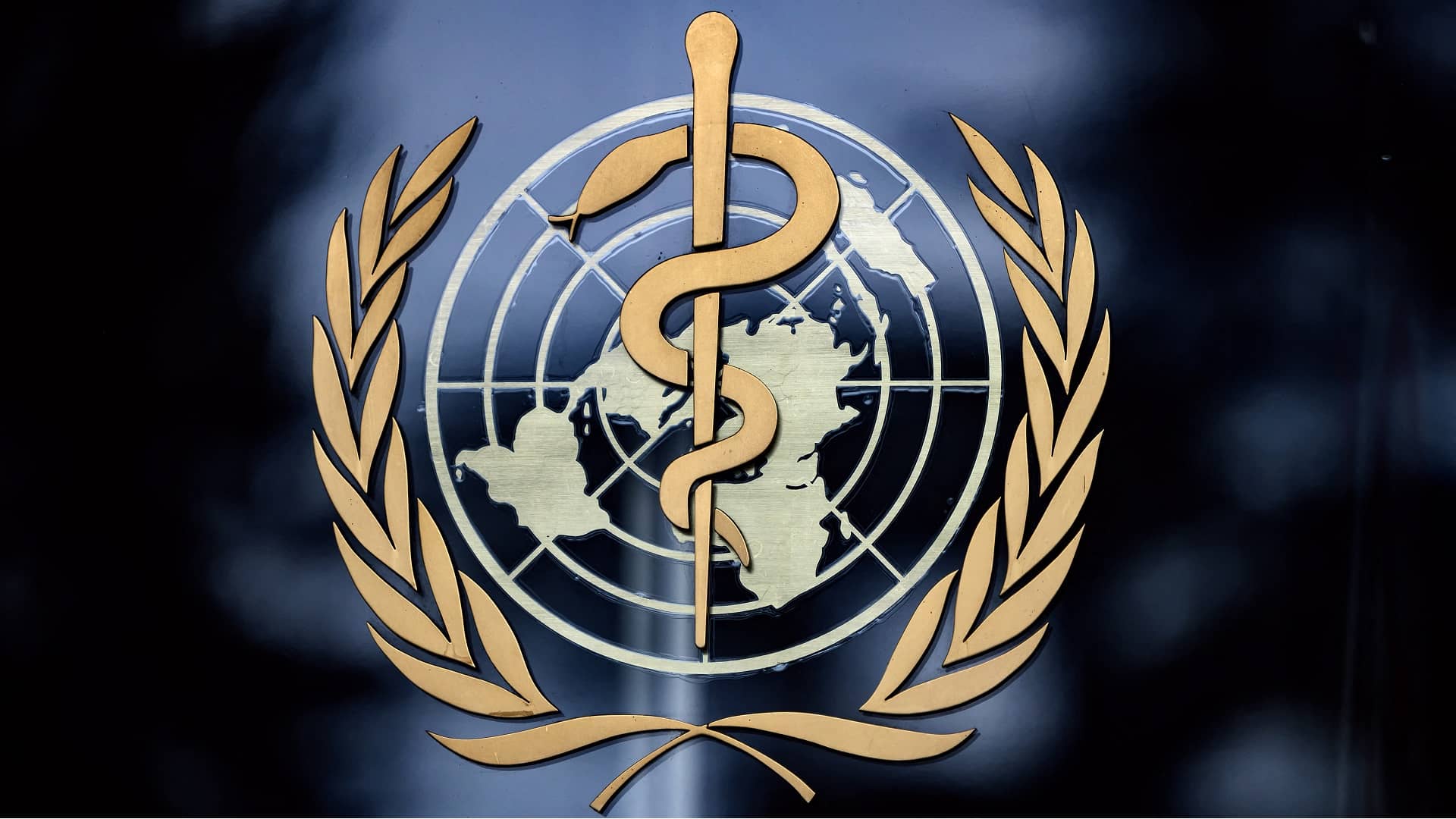 الصورة الرئيسية للمقال