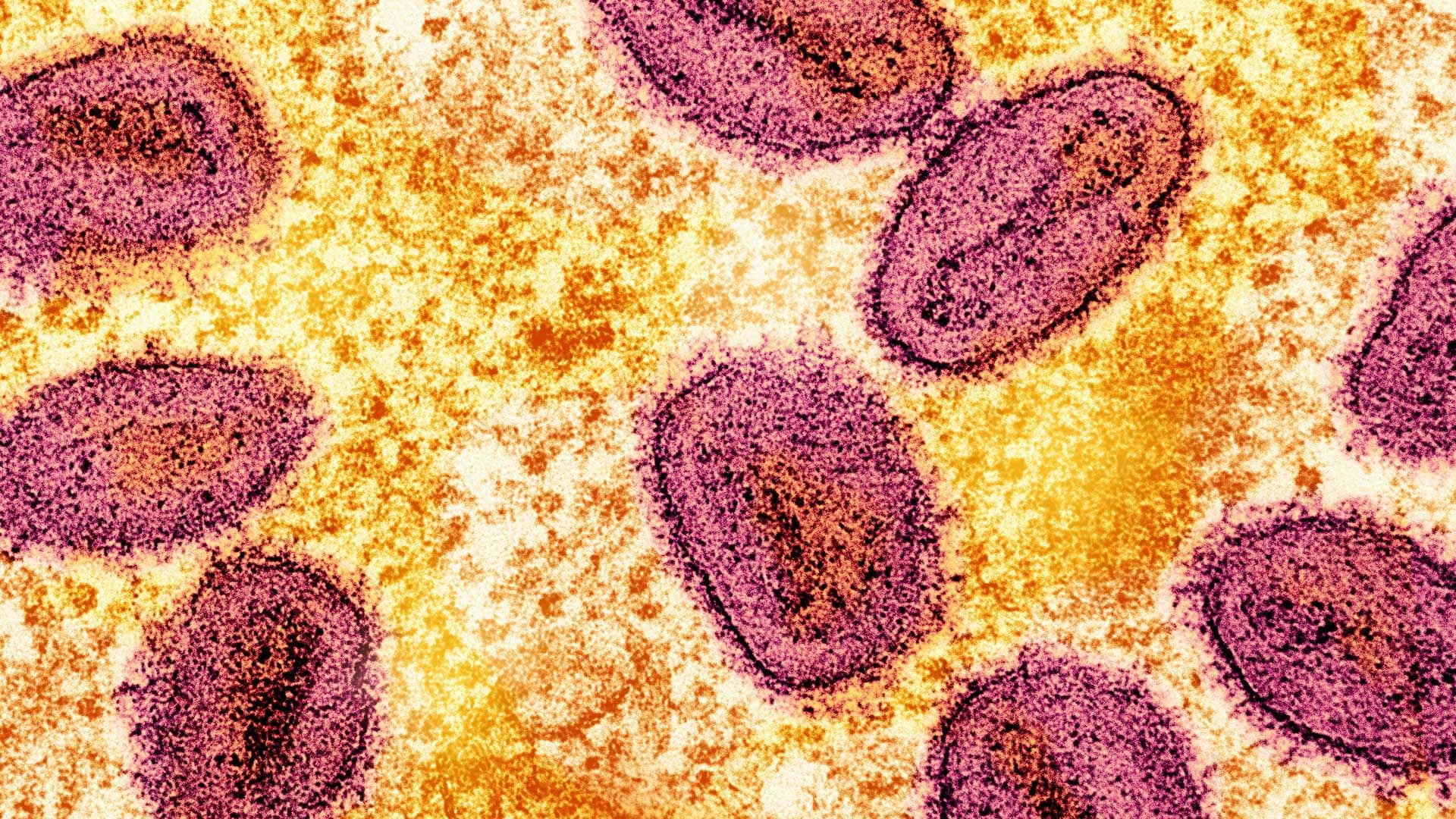 الصورة الرئيسية للمقال