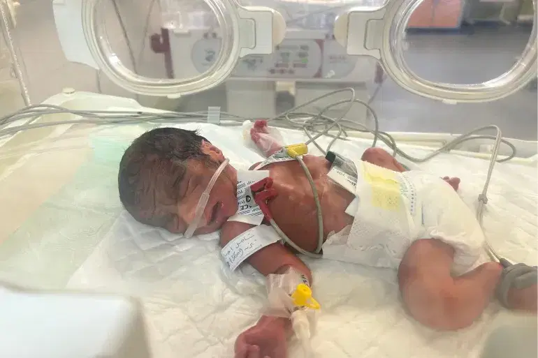 الصورة الرئيسية للمقال