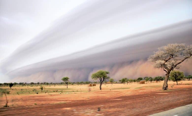 الصورة الرئيسية للمقال