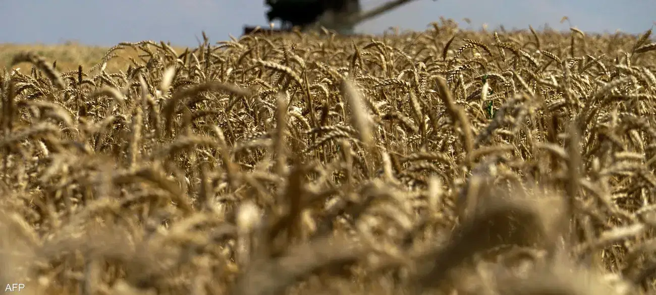 الصورة الرئيسية للمقال