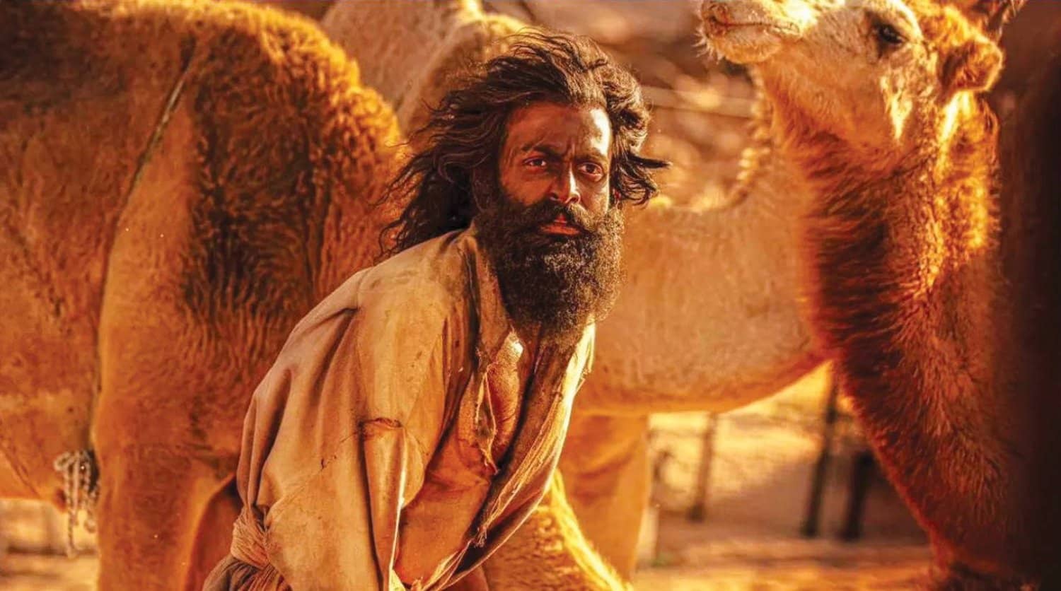 الصورة الرئيسية للمقال