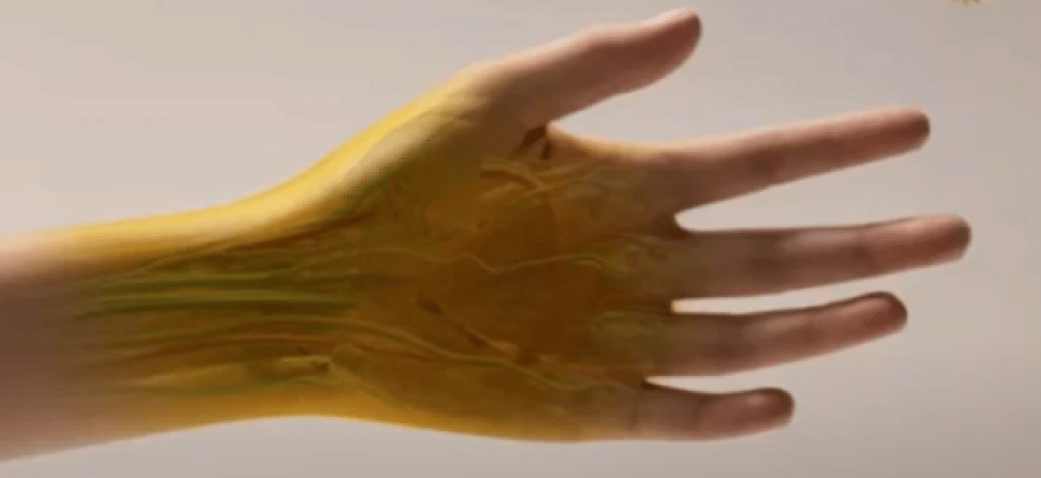 الصورة الرئيسية للمقال