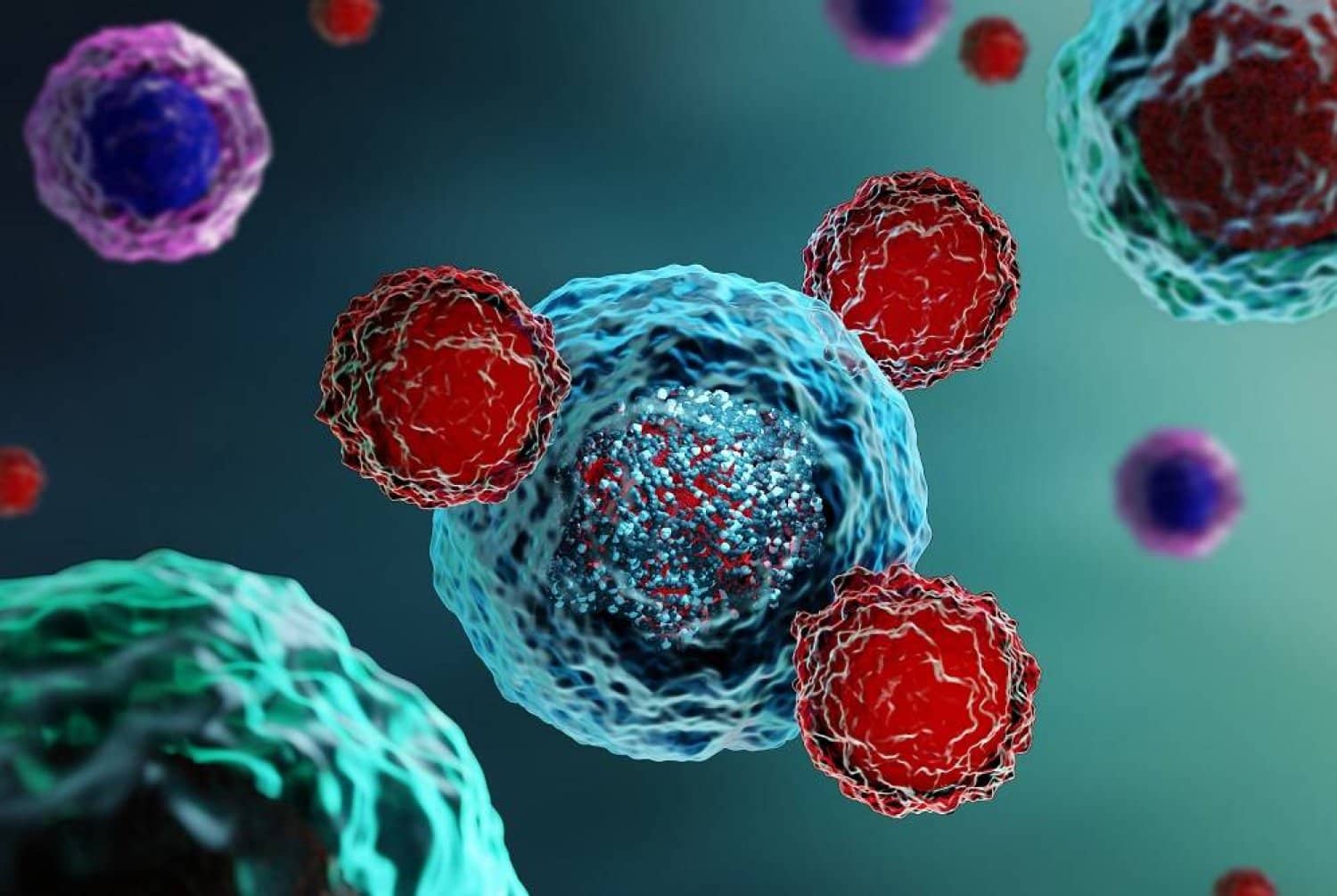 الصورة الرئيسية للمقال