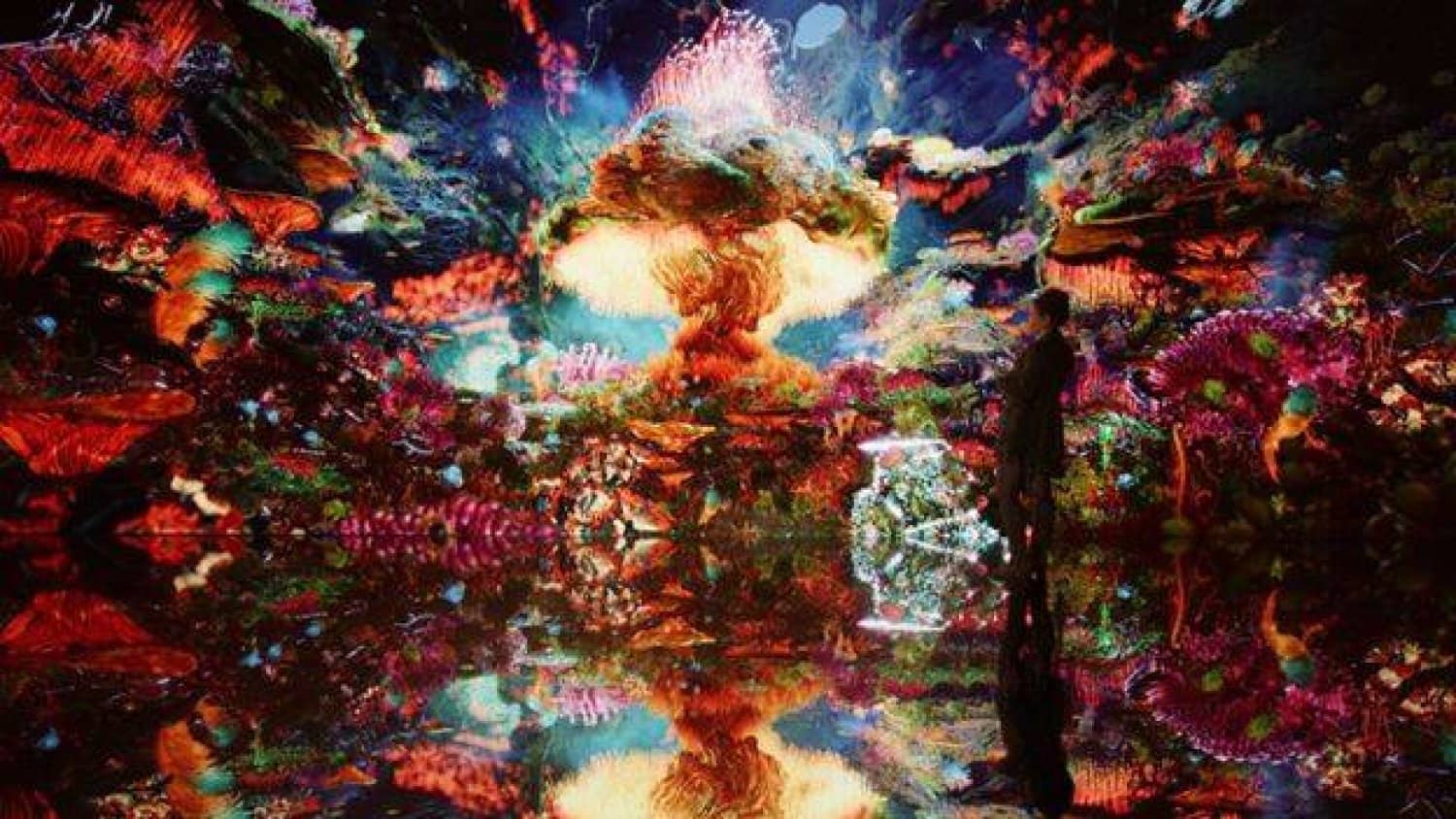 الصورة الرئيسية للمقال