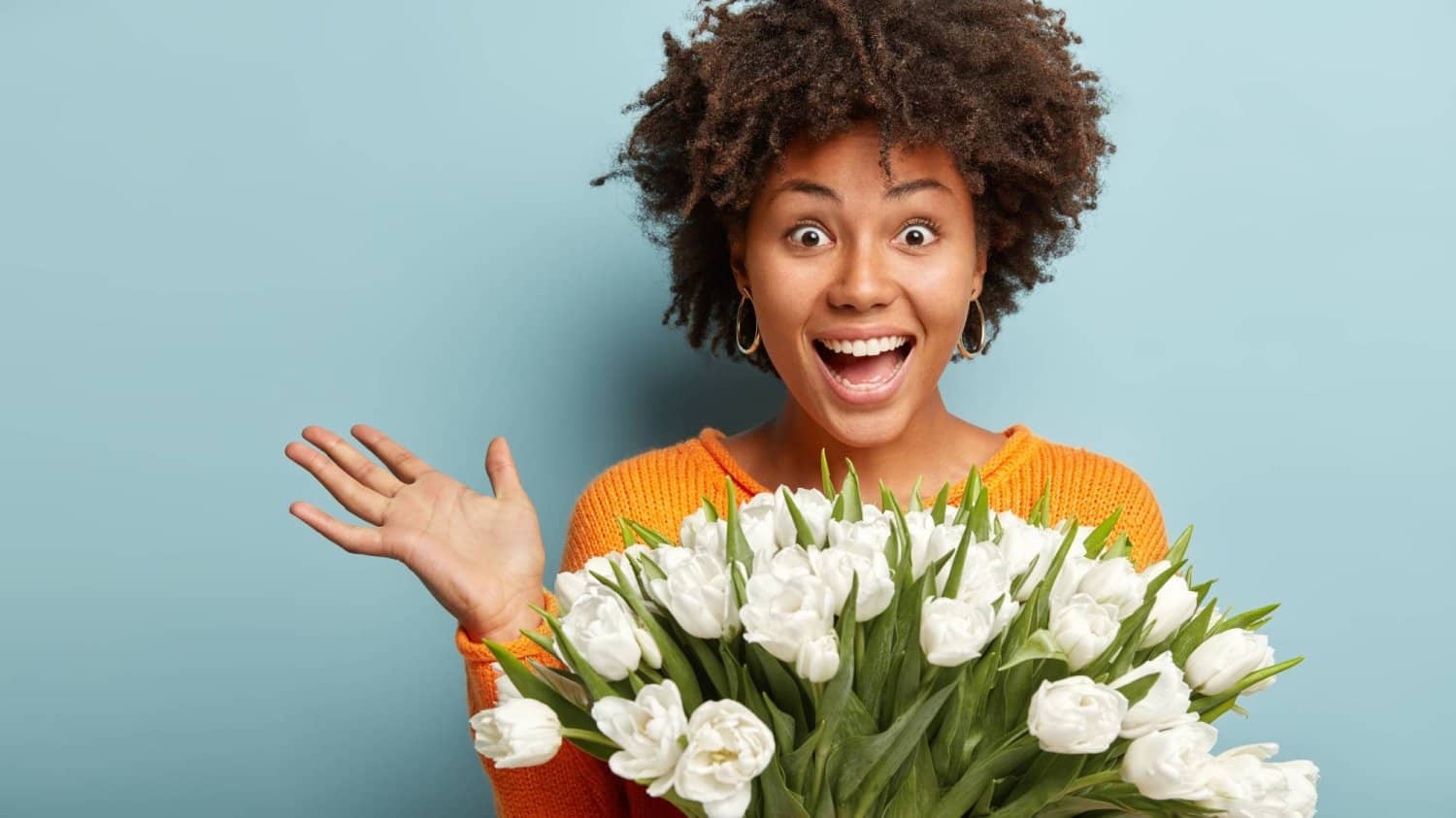 الصورة الرئيسية للمقال