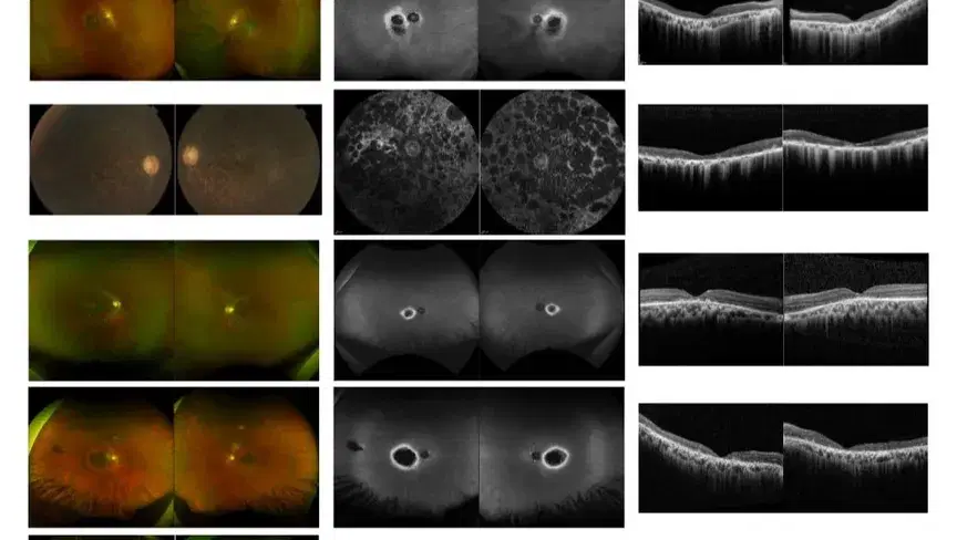 الصورة الرئيسية للمقال