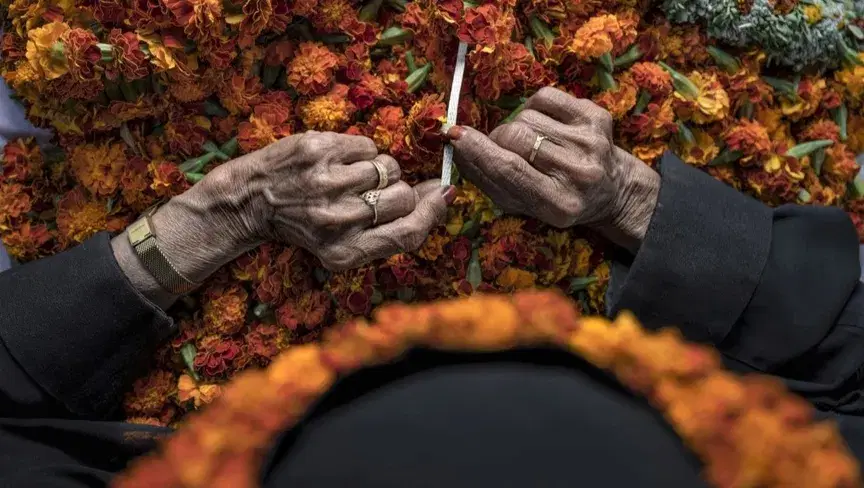 الصورة الرئيسية للمقال