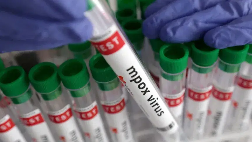 الصورة الرئيسية للمقال