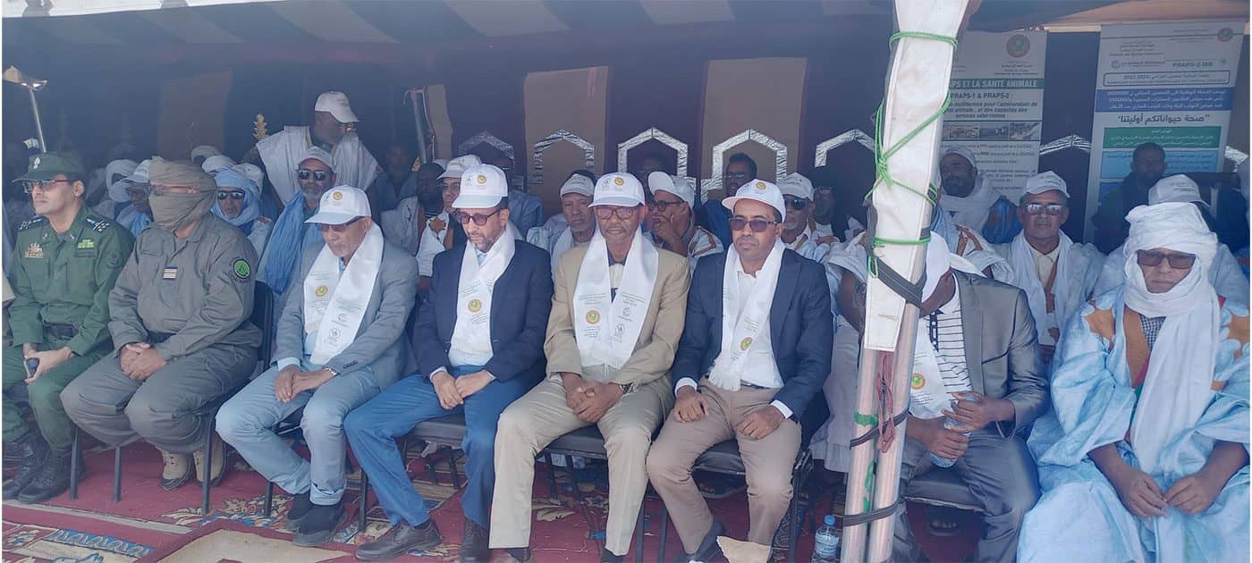 الصورة الرئيسية للمقال