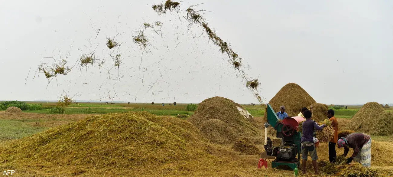 الصورة الرئيسية للمقال