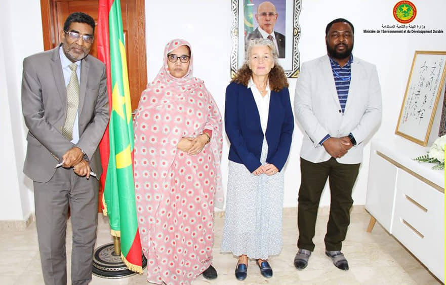 الصورة الرئيسية للمقال