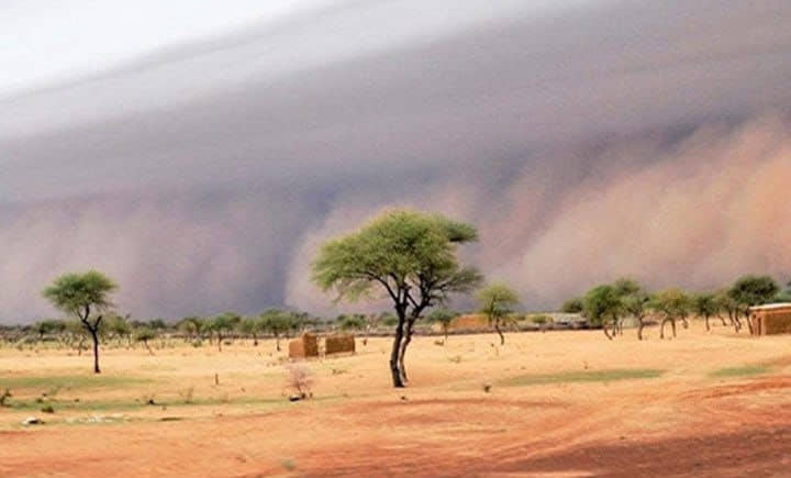 الصورة الرئيسية للمقال