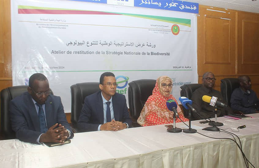 الصورة الرئيسية للمقال