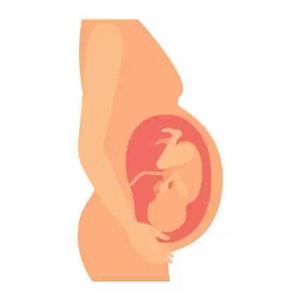 الصورة الرئيسية للمقال