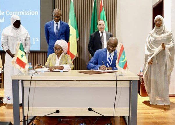 الصورة الرئيسية للمقال