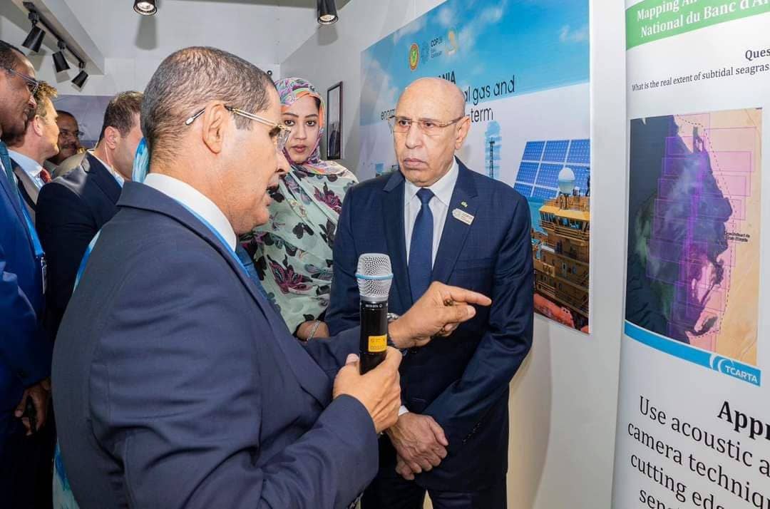 الصورة الرئيسية للمقال