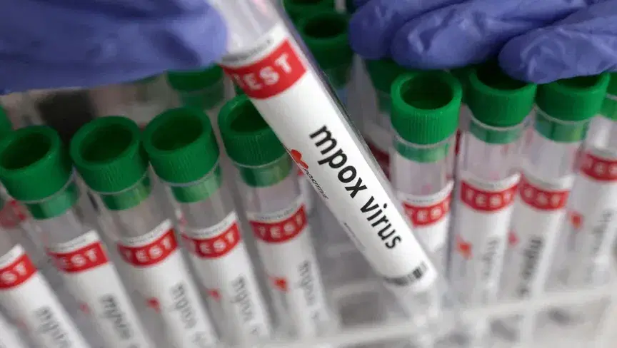 الصورة الرئيسية للمقال