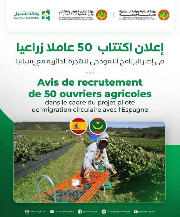 الصورة الرئيسية للمقال