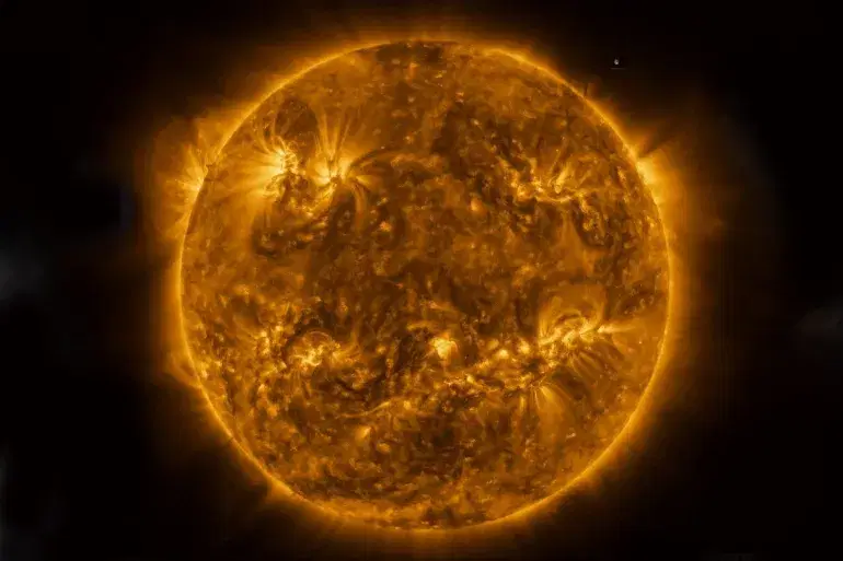 الصورة الرئيسية للمقال