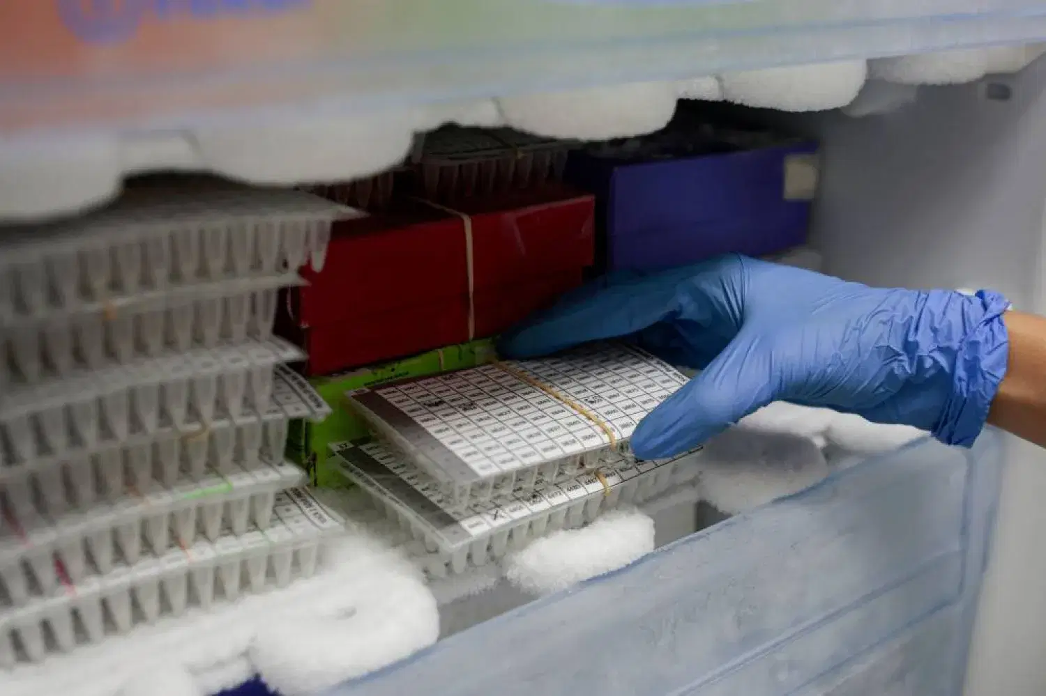 الصورة الرئيسية للمقال