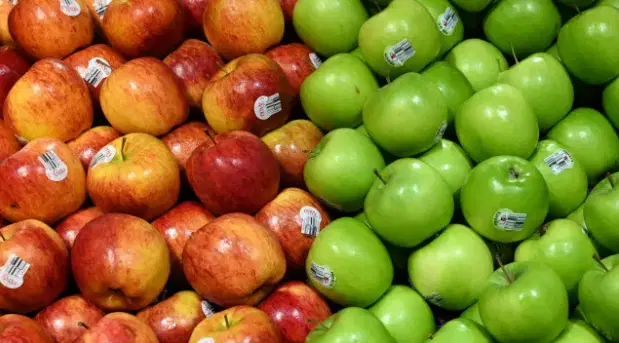 الصورة الرئيسية للمقال