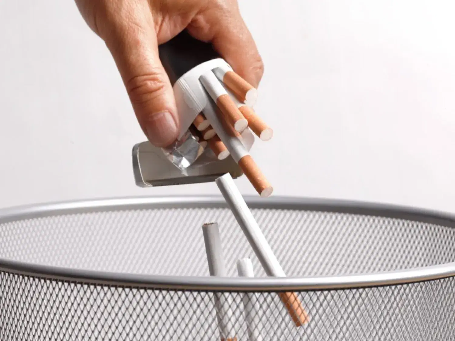 الصورة الرئيسية للمقال