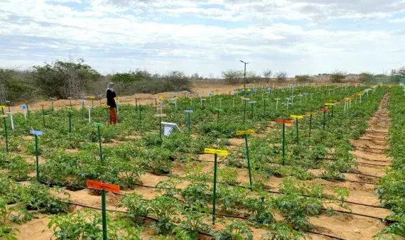 الصورة الرئيسية للمقال