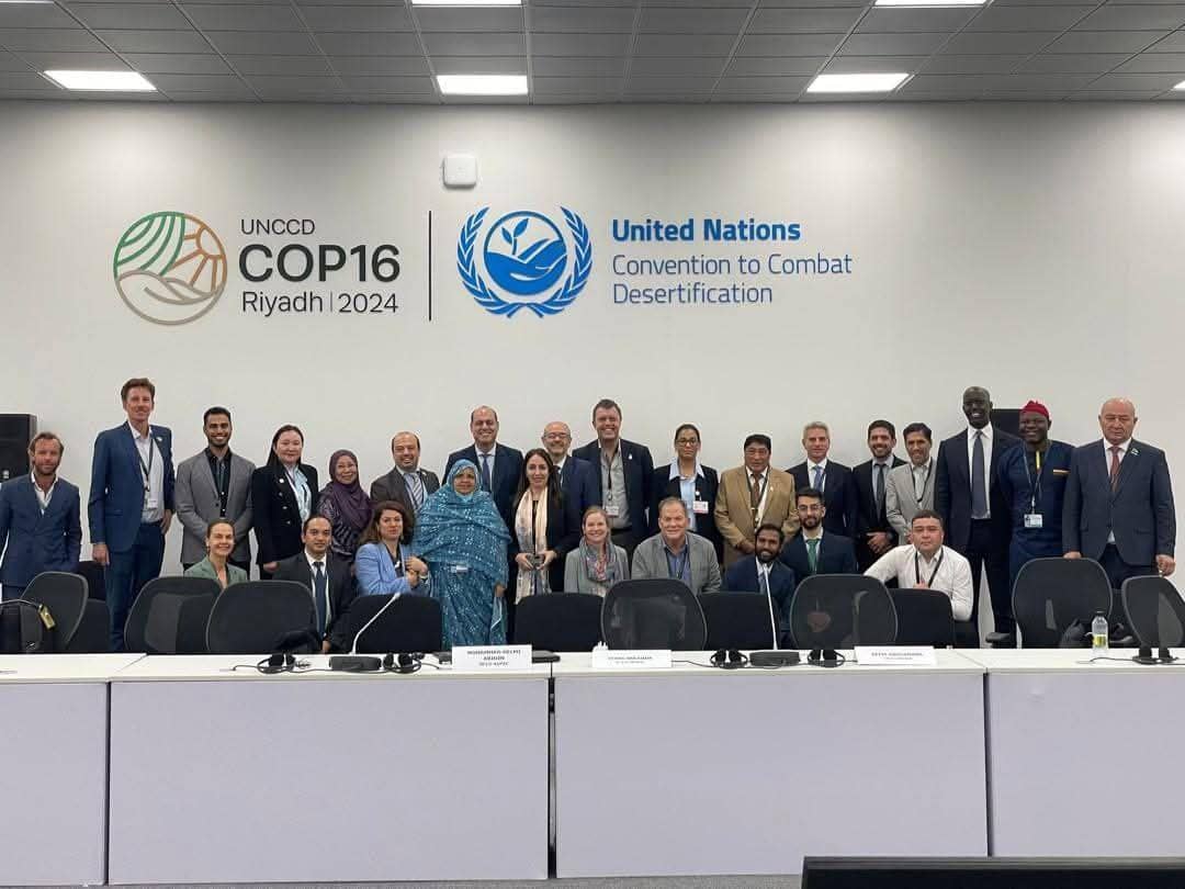 الصورة الرئيسية للمقال