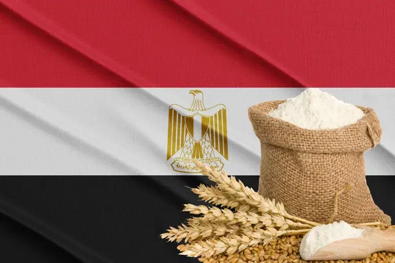 الصورة الرئيسية للمقال