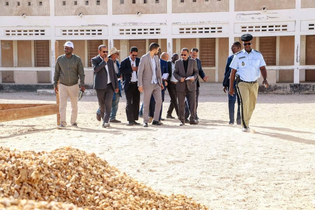 الصورة الرئيسية للمقال