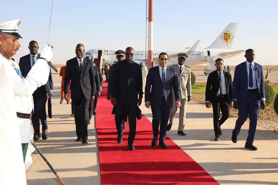 الصورة الرئيسية للمقال