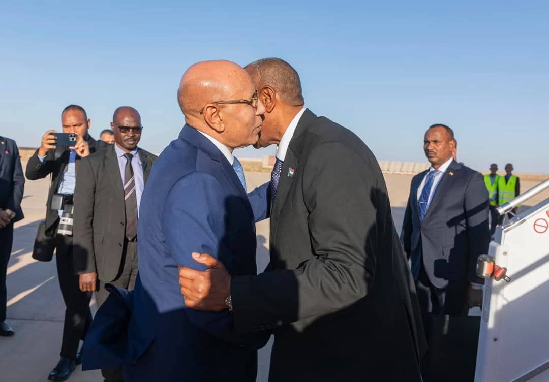 الصورة الرئيسية للمقال