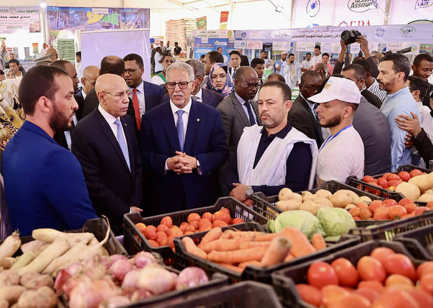 الصورة الرئيسية للمقال