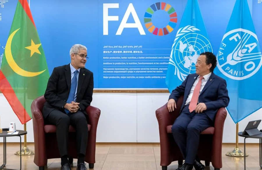 الصورة الرئيسية للمقال