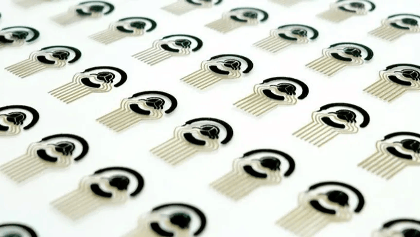 الصورة الرئيسية للمقال