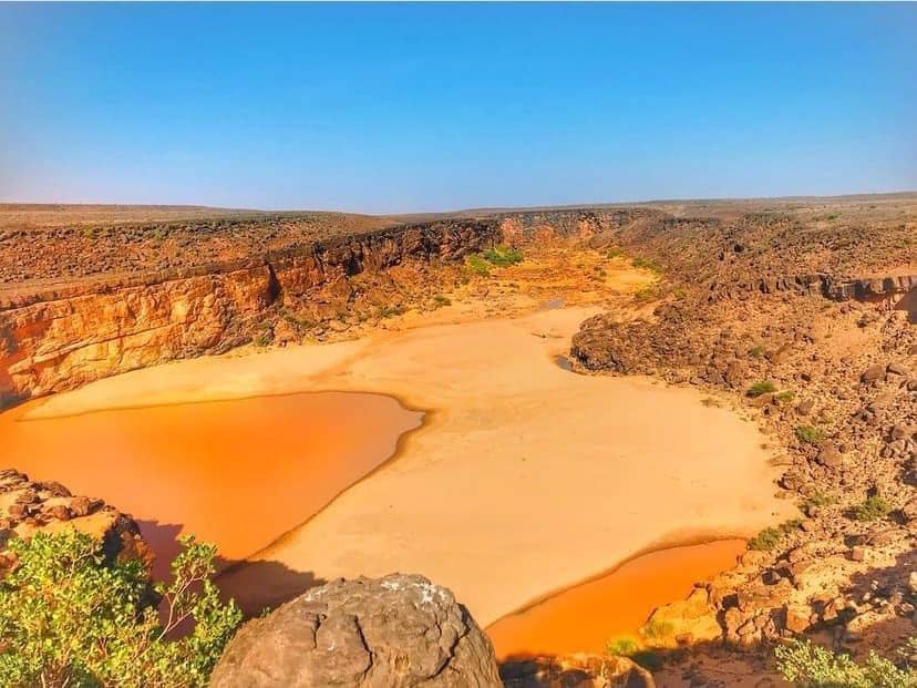 الصورة الرئيسية للمقال