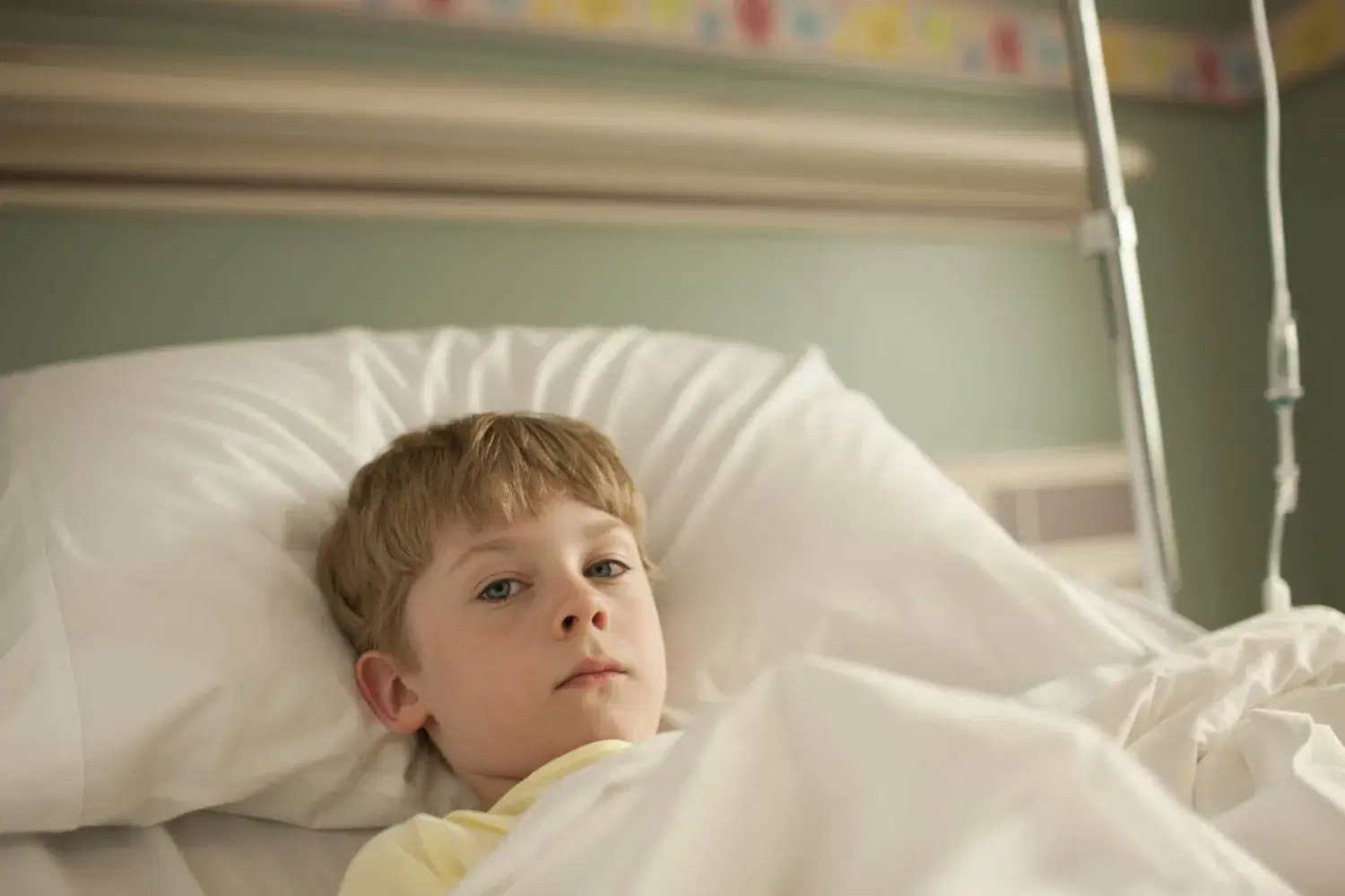 الصورة الرئيسية للمقال