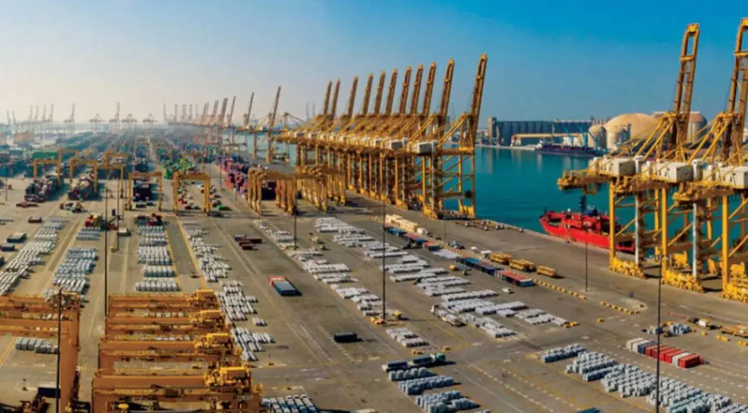 الصورة الرئيسية للمقال