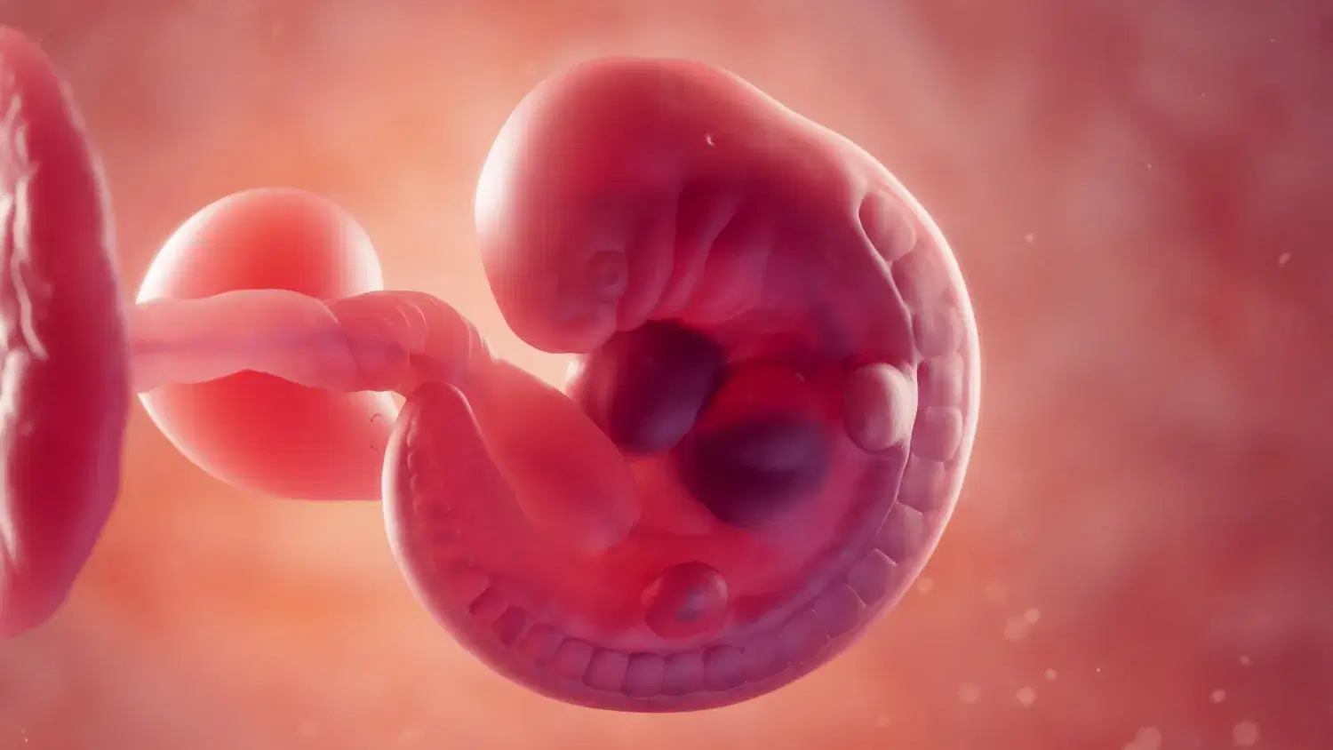 الصورة الرئيسية للمقال