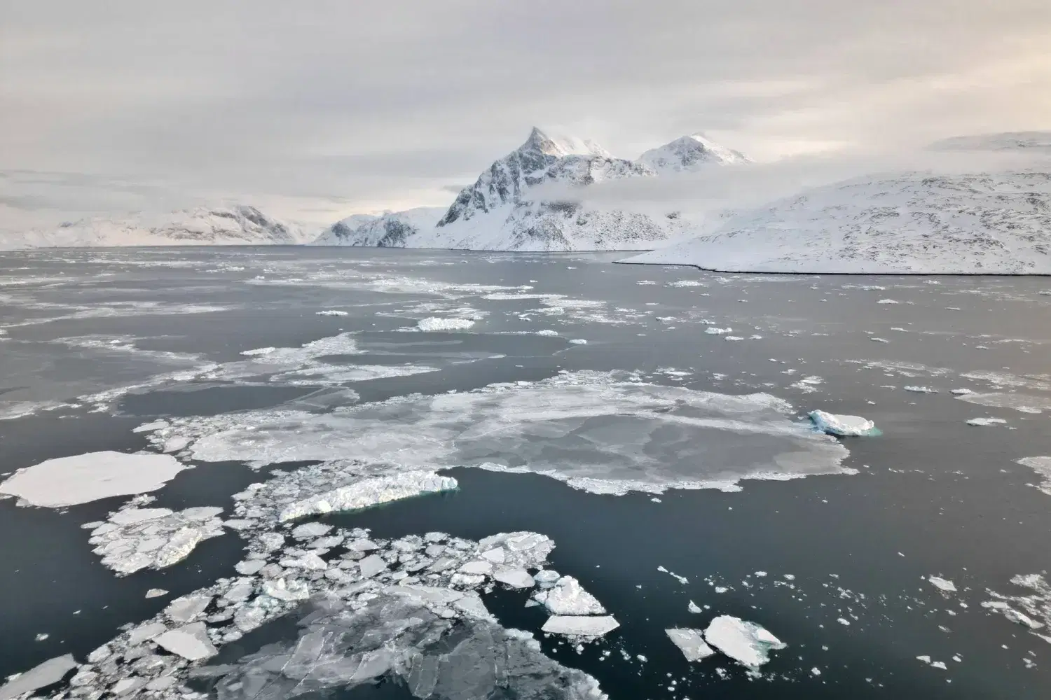 الصورة الرئيسية للمقال