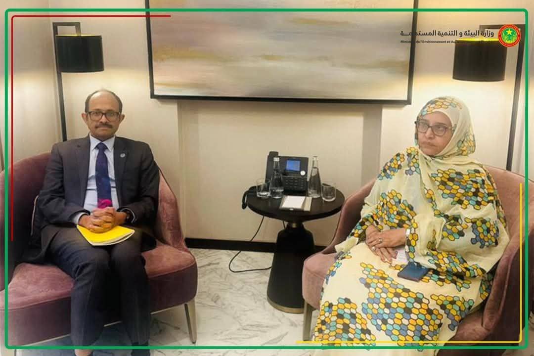 الصورة الرئيسية للمقال