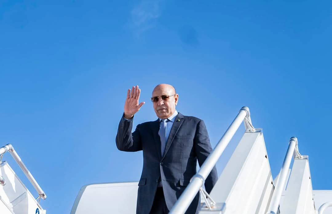 الصورة الرئيسية للمقال